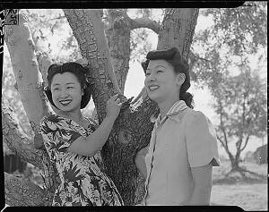 Apple tree pose, Manzanar, 1942