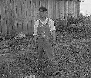 Farmer, Woodland, CA, 1942