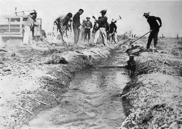 Evacuee clearing an irrigation ditch to bring water to the experimental station for the growing of the rubber producing guayule shrub at the Manzanar (California) Reception Center